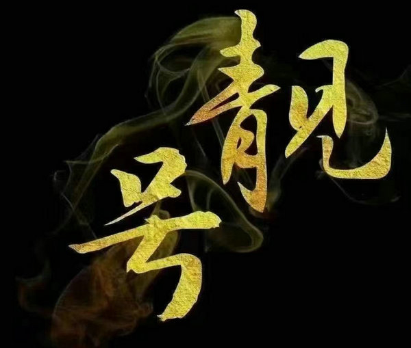 ?？陟n號